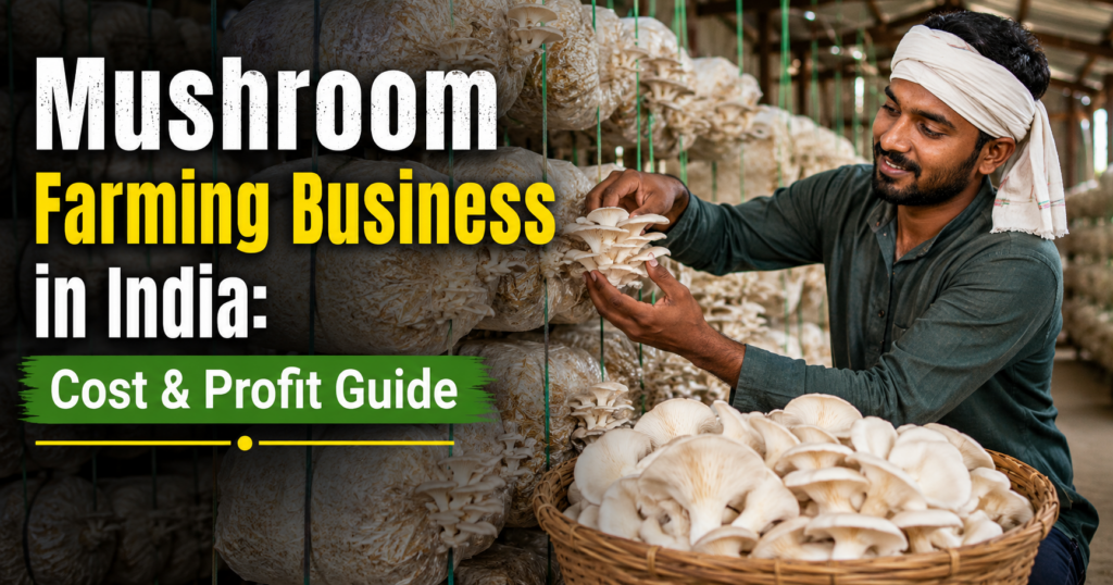 Mushroom Farming business in India